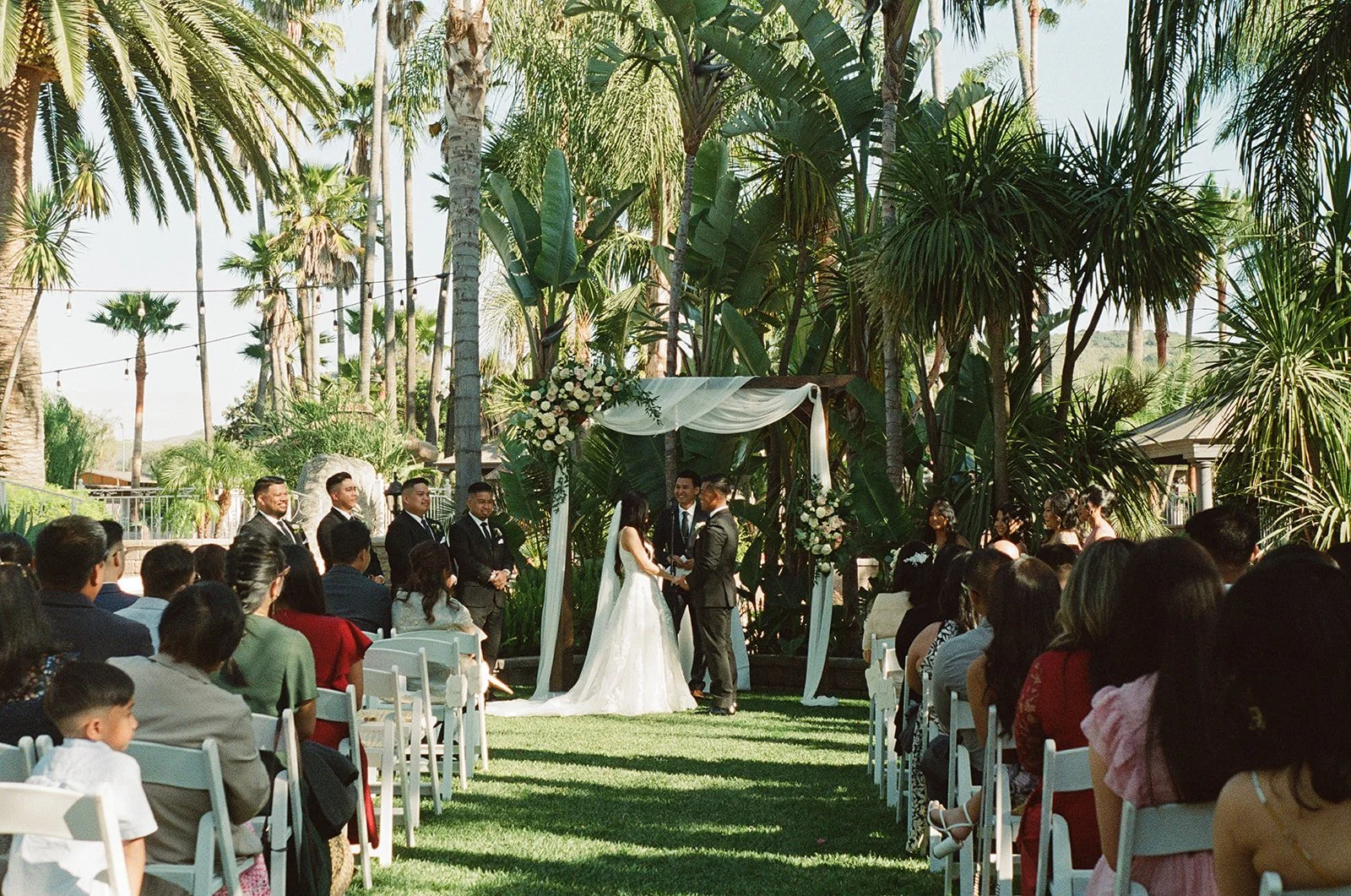  Film Photo: Portra 400/Pentax K1000 