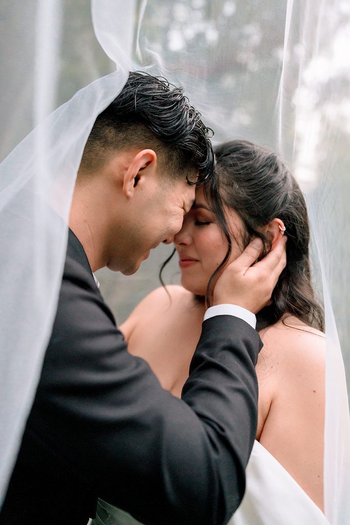 Groom holding the bride's face beneath her veil at Hartley Botanica